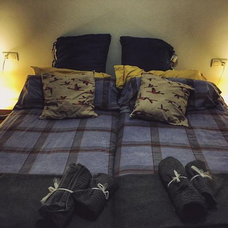 Nuevo Apartamento Centrico Cerca De San Sebastian Azpeitia Dış mekan fotoğraf